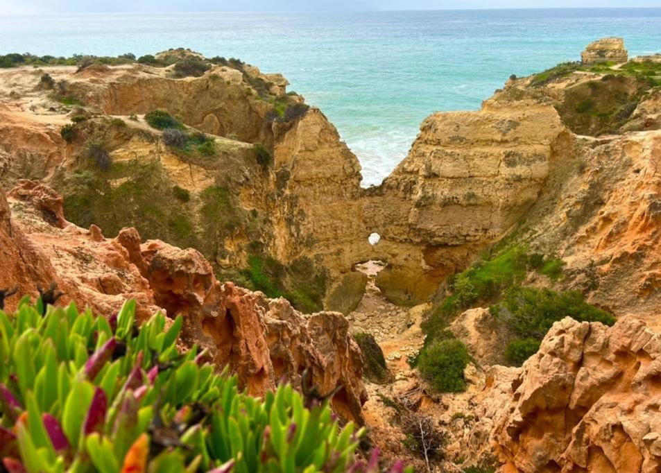 Marina Zen Apartment - Orada, Albufeira Exteriör bild