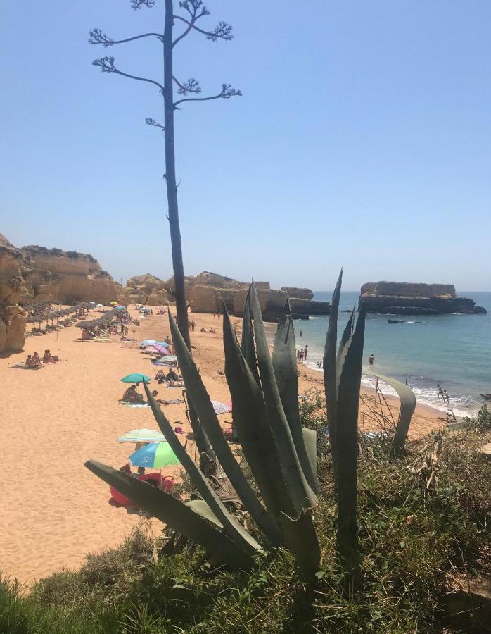 Marina Zen Apartment - Orada, Albufeira Exteriör bild